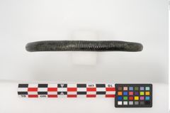 Foto von Bronzearmring (NHMW-PRAE-024612)